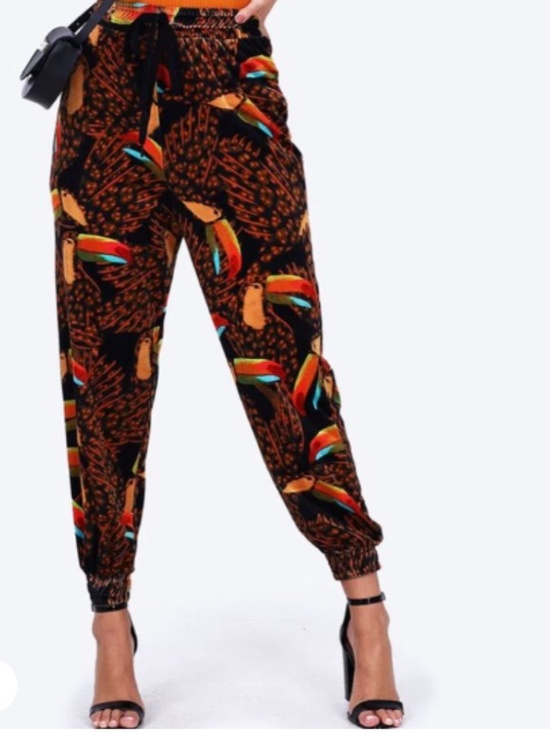 FARM Rio Pants - Farm Rio Velvet Joggers Size M